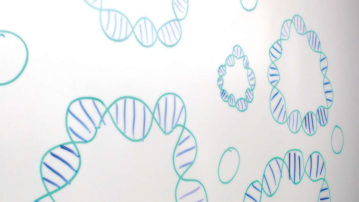 DNA
